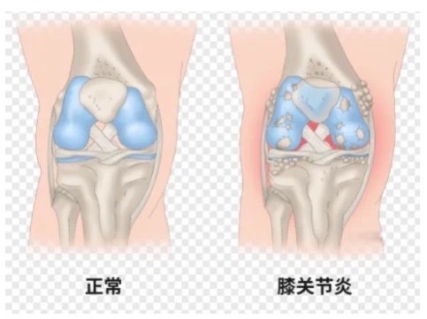 Snipaste_2024-04-17_11-46-25.jpg Snipaste_2024-04-17_11-46-25.jpg